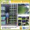 1000 kg/day bean sprout machine- / wheat sprout machine from china