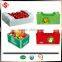 2015 corrugated PP plastic vegetable tray