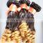 Supply all kinds of FUMI HAIR 100% peruvian deep curly hair
