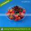 Disposable Plastic Fruit Food Grade Container Clamshell Packing