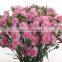 Arificial calvation carnation artificial plants for Valentines day