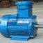 Hot sell YB2 Series high-voltage Explosion-Proof Three Phase AC Motor