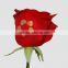 Full Color White Inkjet Red Rose Flower Printer_Qingdao Unique