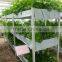 Garden Greenhouse Three Layer Hydroponics for Agricultural