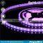 12v Led Strip Ip65 Waterproof Smd 5050 Flexible Led Strip Ce Rohs Approval 5m Rgb 5050 Led Strip Kit With Remote Controller