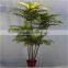 artificial plant Cedrela tree