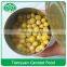 Factory wholesale 400g and 3000g canned green peas