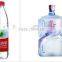2L Water filling capping whole line/ automatic water filling machine
