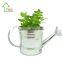 Galvanised Metal Watering Can Herb Flower Pot Container