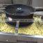 Frozen french fries machine/french fries plant hot sale/french fries processing line