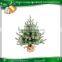 2ft Mini Christmas Tree,Fiber Optic Christmas Tree