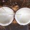 SEMI HUSKED COCONUT _ QQ : 2290755420
