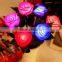 2015 New Products Color Luminous Led Decorative Flower Lights