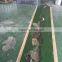 COLOR PAINT FOR CONCRETE FLOOR PAINT EPOXY FLOOR COATING