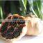 Chinese black garlic