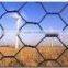 hot dipped galvanized hexagonal/pvc hexl wire mesh