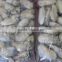iqf frozen oyster meat for sale