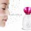 Hot Selling Beauty Product USB Rechargeable Portable Nano Handy Mist and Facial Steamer