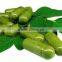 MORINGA CAPSULES MORINGA LEAF POWDER CAPSULES