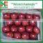 Chinese Red Sweet Tianshui Huaniu apple/apple market price