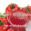 Best Quality Tomato Paste in Drums
