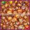 Chinese Organic Sweet Ringent Roasted Chestnut Snack for Sale