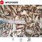 2016 Hot sale frozen shiitake mushroom with good price