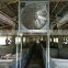 Indonesia market poultry farm greenhouse ventilation exhaust fan