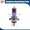 Halogen bulb h4 12v 100/90w halogen bulb