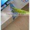 galvanized y type star fence pole