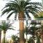 CHY020928 Artificial fake palm tree outdoor landscaping decoration