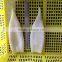Hot Sales Iqf Pacific Squid Tube