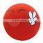 China Printing Custom Wholesale Decorative Throw Pillows
