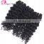 2017 hot sale deep curly 8A virgian brazilian hair bundles mink brazilian hair