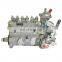 6AW163 Weifu Fuel Injection Pump 3971475 for 6BTA5.9