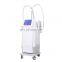 Top Sales Ems Weight Loss Fat Burn Body Slimming 2 Handles Machine On Promotion