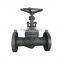 flange wcb cast iron wafer check globe valve,bellow seal vertical flanged globe check valve