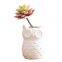 Nordic Simple Style Grey White Owl Animol Ceramic Vase Decoration For Home Bedroom Study