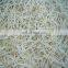 Exporting Cheap Bulk Iqf Frozen Mung Bean Sprout to Korea