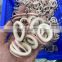 frozen black squid ring indian ocean squid ring wholesale price skin on
