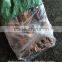 Frozen Argentina Squid exports with size 200 - 300 g
