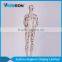 Aquagraphics stand abstract special female mannequin