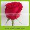 Export romantic rose flower to lovers