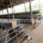 Poultry Equipment Poultry Chicken Cage For Sale Made in China