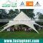 PVC fabric pole stretch star shaped party wedding tent for outdoor event                        
                                                Quality Choice