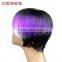 6inch new style cosplay wig short hair purple wig for women