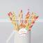 craft Paper drinking Straws