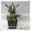2015mini succulent bonsai pots