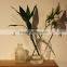 Best Selling Items Cheap Tall Transparent Glass Vases for Home Decoration