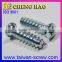 Taiwan OEM Set Screw For Fastener